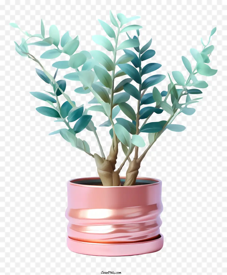 Petite Plante，Plante En Pot PNG