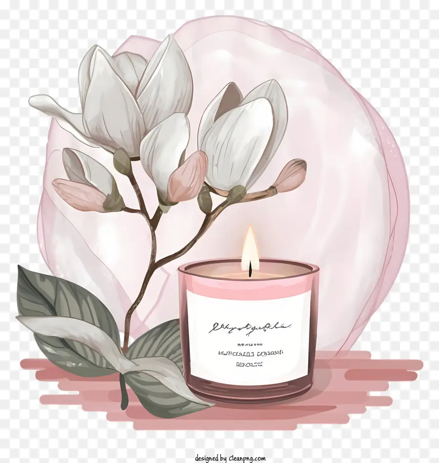 Rose Bougie，Fleurs Blanches PNG
