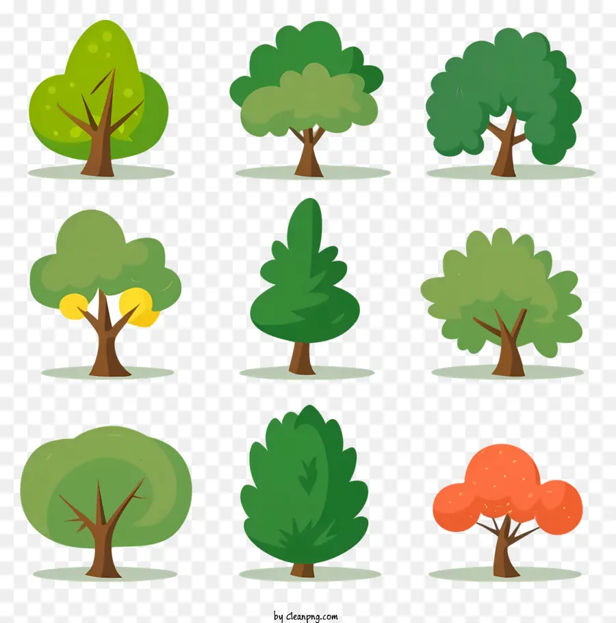 Les Arbres，Arbres à Feuilles Caduques PNG