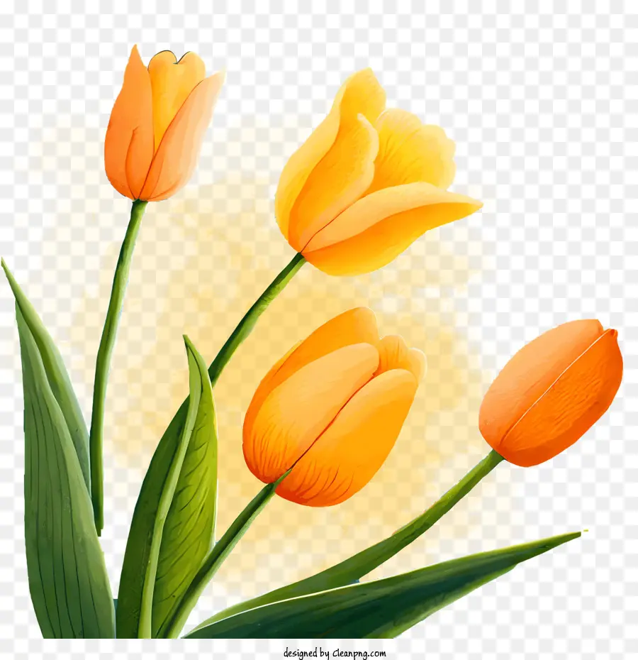 Tulipes Jaunes，Tulipes Complètes PNG