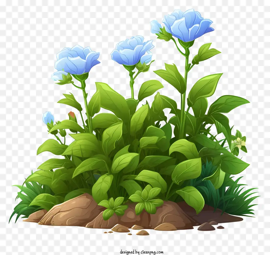 Fleurs Bleues，Sol Rocheux PNG