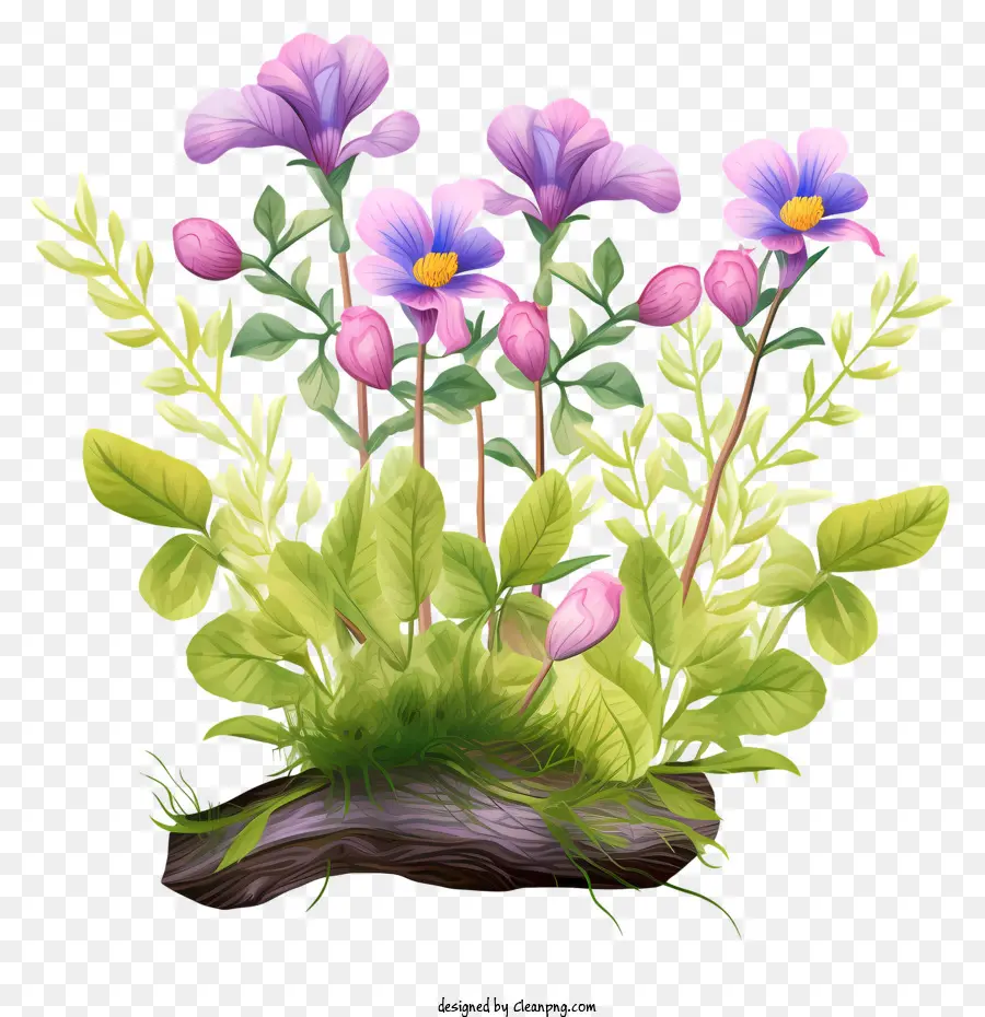 Planter En Pot，Fleurs PNG