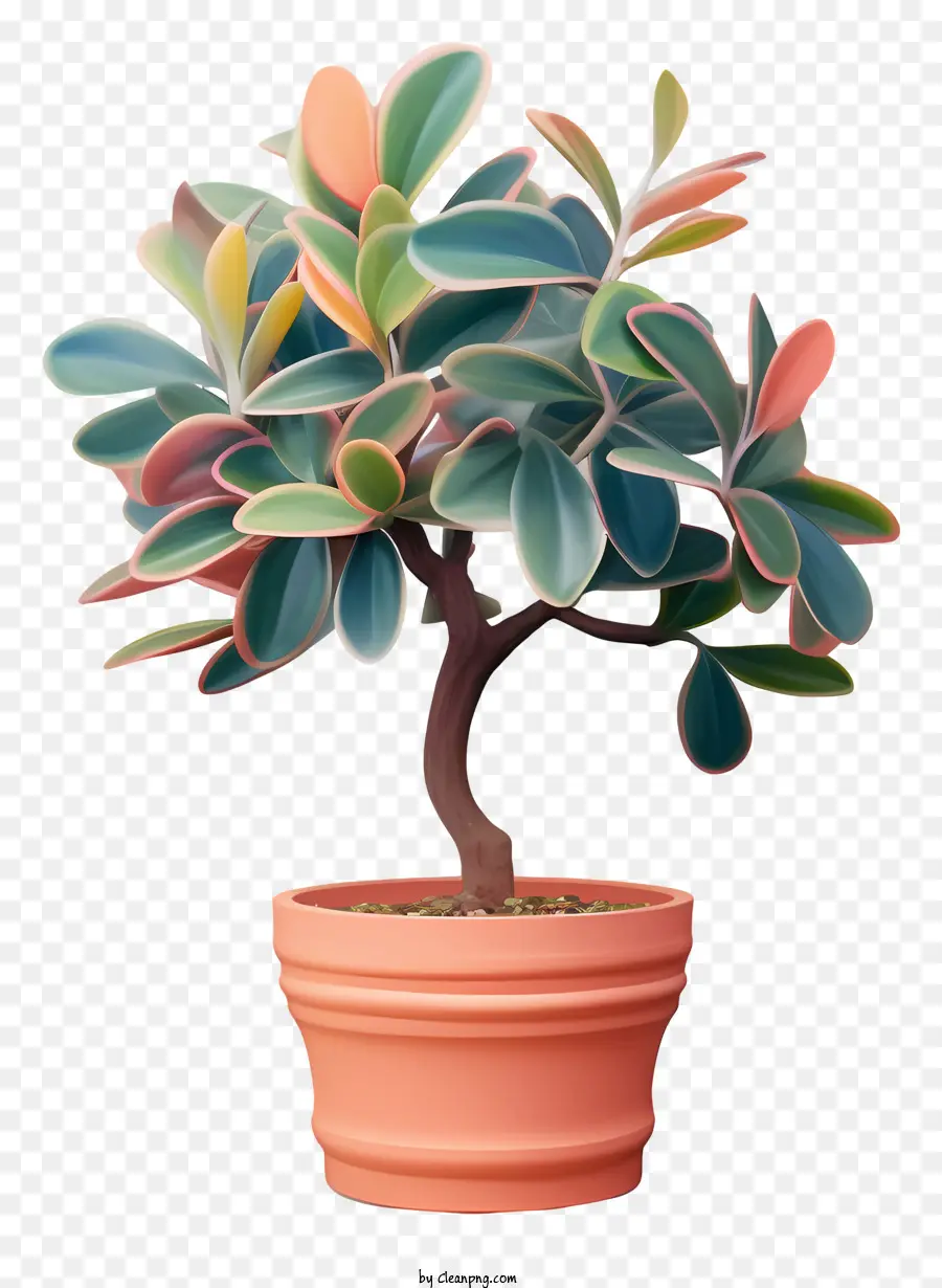 Bonsaï，Plante En Pot PNG