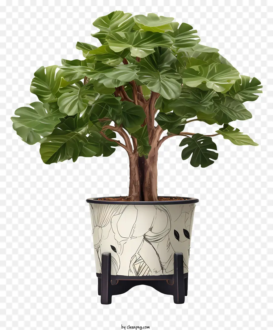 Grande Plante En Pot，Plante En Pot PNG