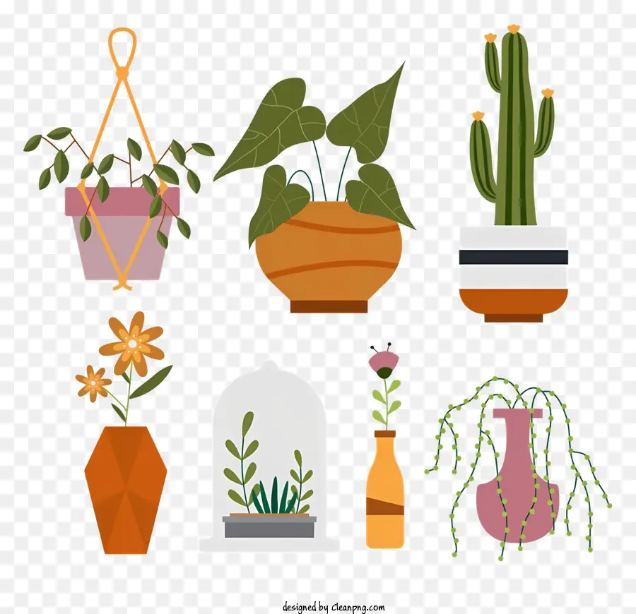 Les Plantes En Pot，Plantes De Différentes Tailles PNG