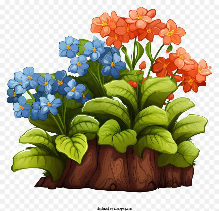 Dessin Animé，Plante à Fleurs PNG