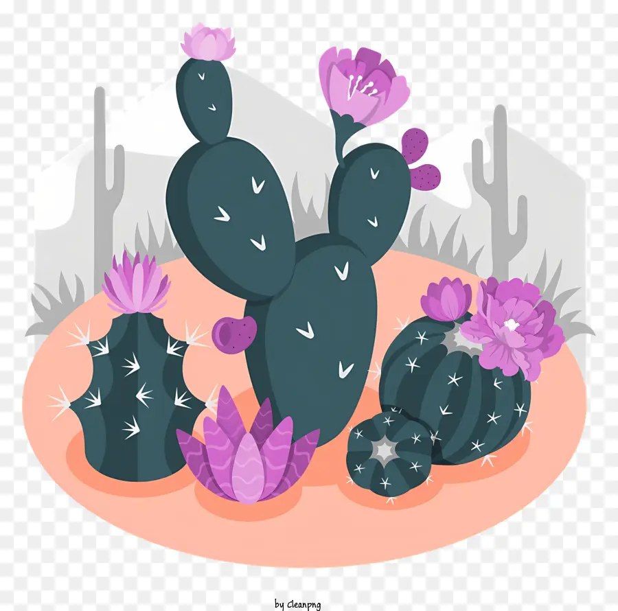 Cactus Plantes，Fleurs Pourpres PNG