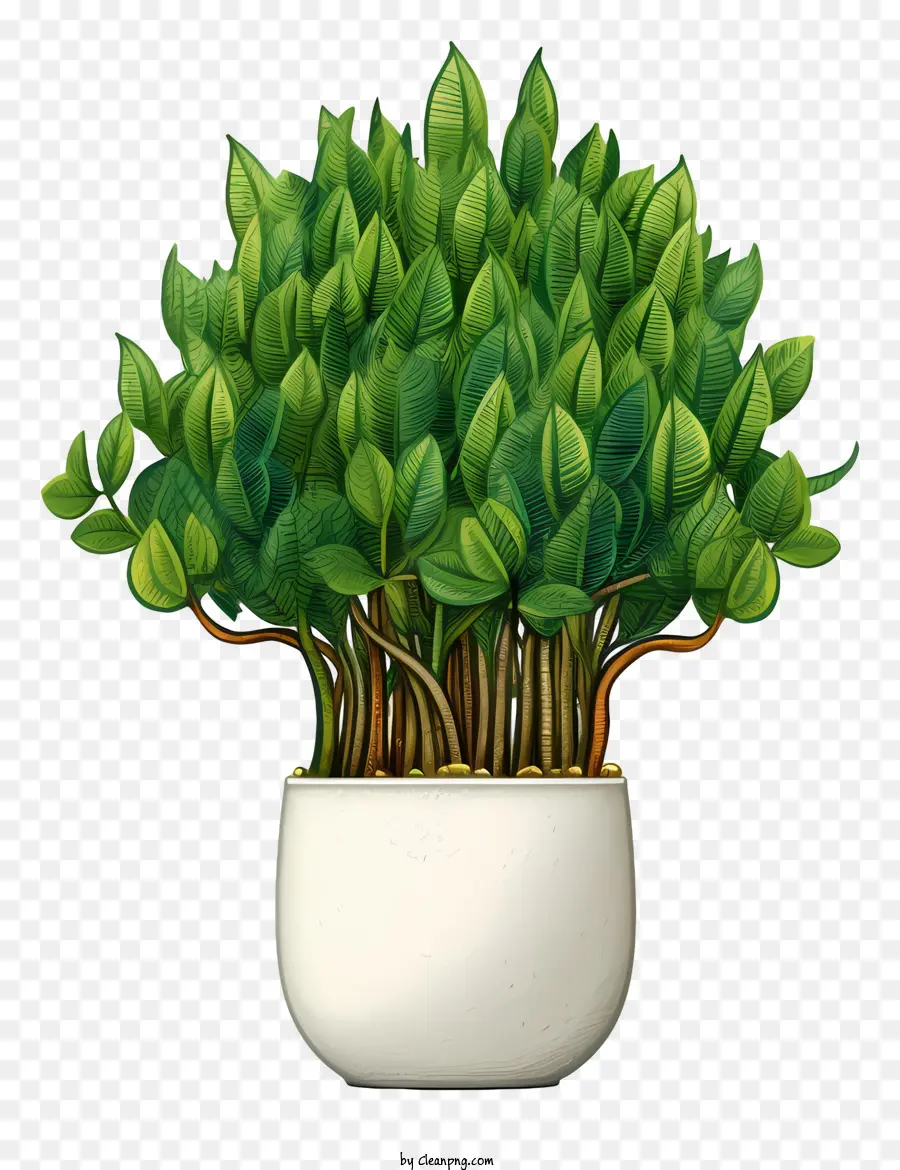 Pot En Céramique Blanche，Plante Verte PNG