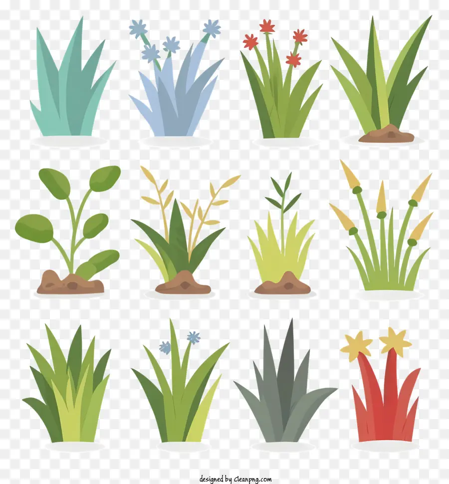 Plantes，Herbe PNG