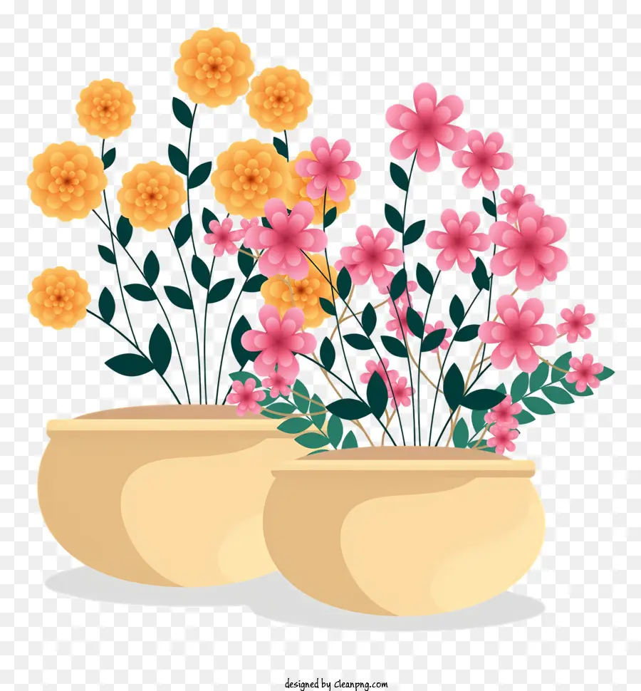 Les Pots De Fleurs，Fleurs Roses PNG