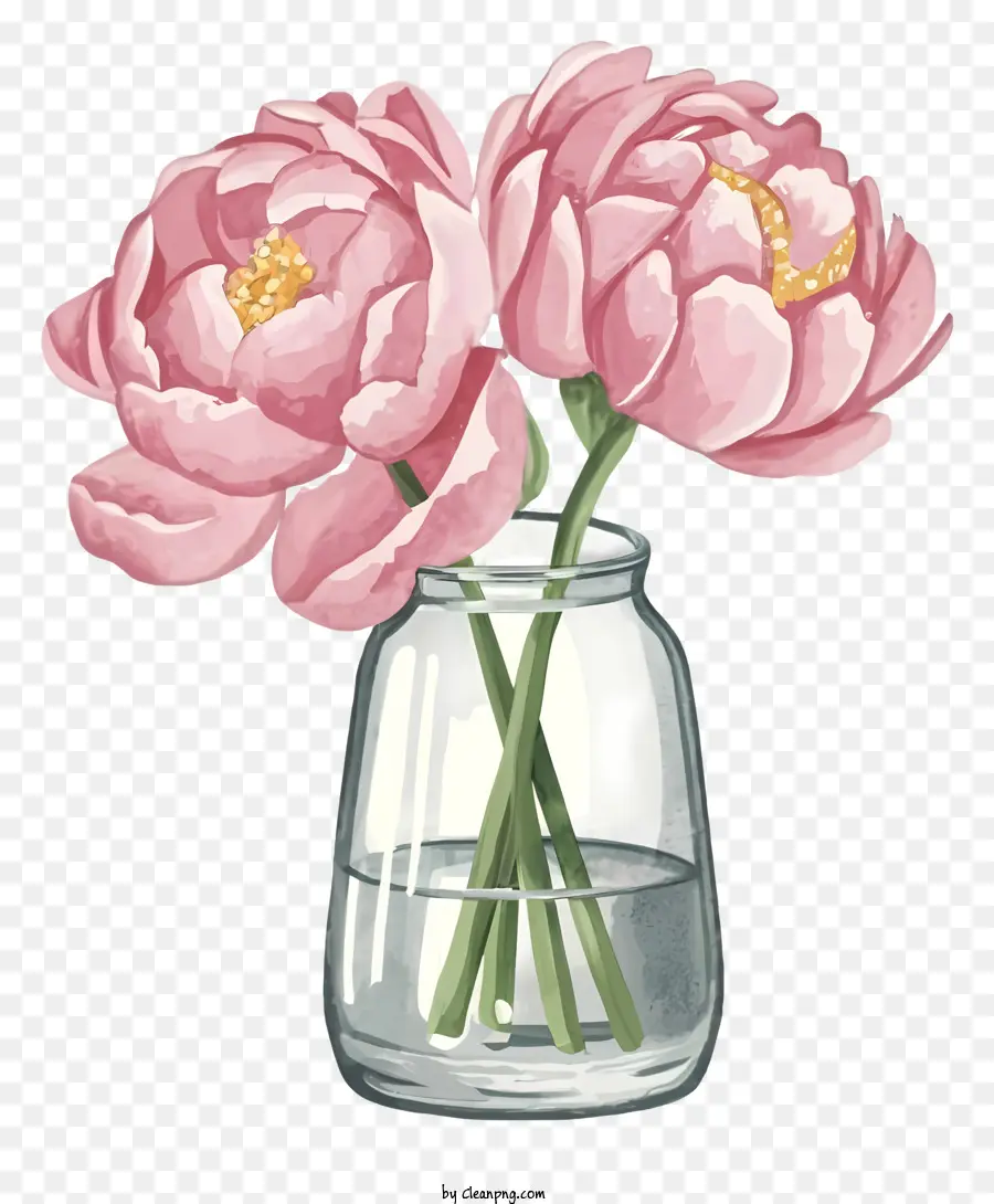 Vase En Verre Transparent，Pivoines Roses PNG