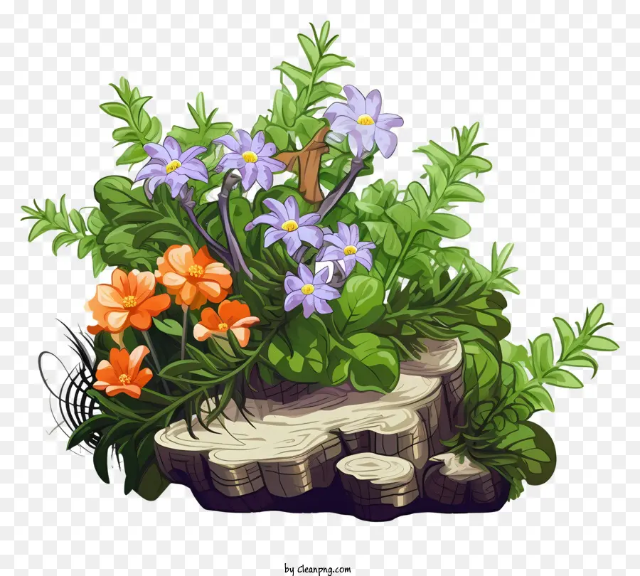 Fleurs，Moignon PNG