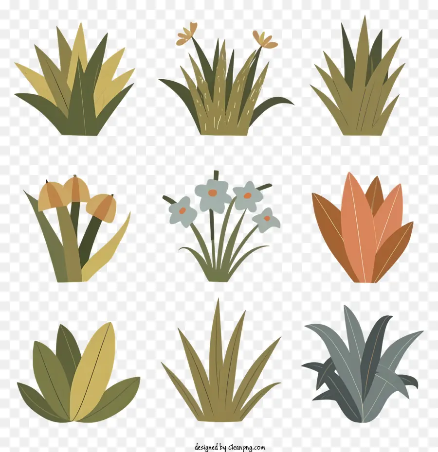 Jardin Des Plantes，Pot De Fleurs PNG