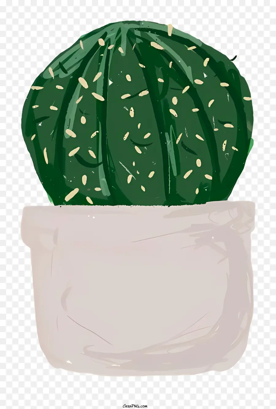 Petite Plante De Cactus，Pot Avec Une Petite Ouverture PNG