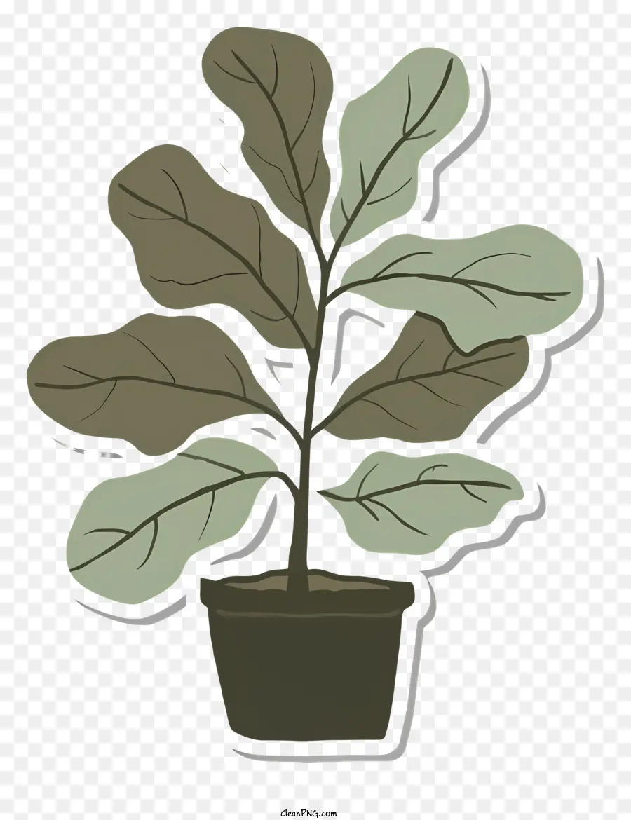 Petite Plante，Pot PNG