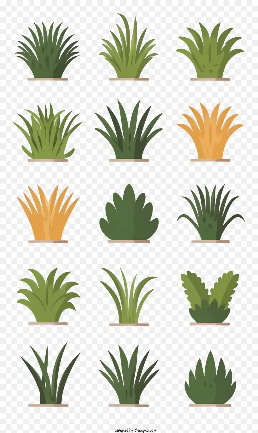 Plantes De Jardin，Herbe PNG