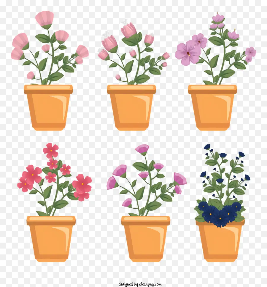 Les Plantes En Pot，Fleurs PNG