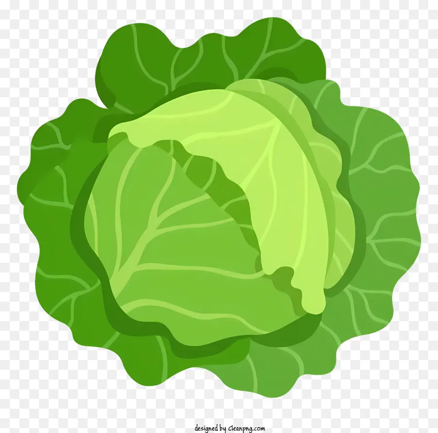 Chou Vert，Légumes Frais PNG
