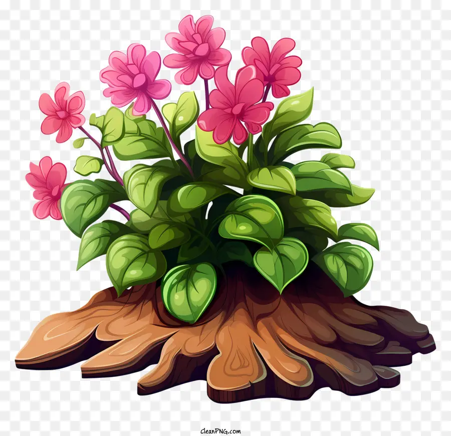 Usine，Plante à Fleurs PNG