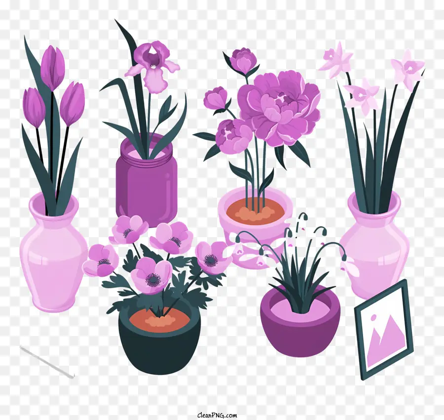 Fleurs Violettes，Fleurs Violettes Dans Des Vases PNG