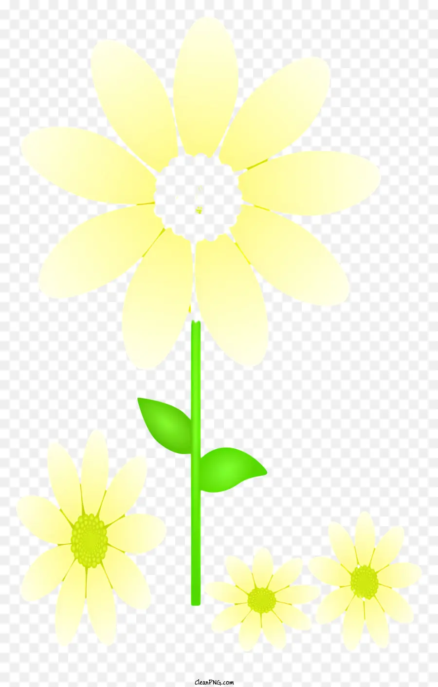 Fleur Jaune，Fleurir PNG