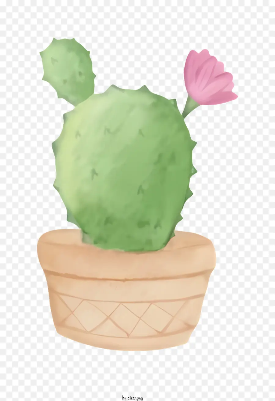 Illustration Aquarelle，Pot De Cactus PNG