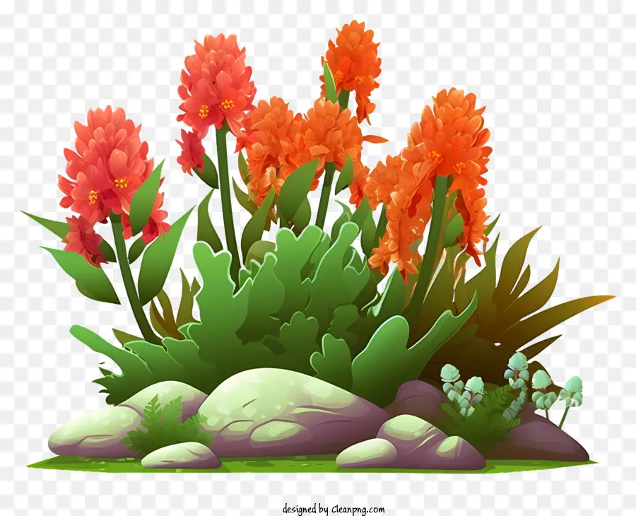 Fleurs Rouges，Fleurs Oranges PNG