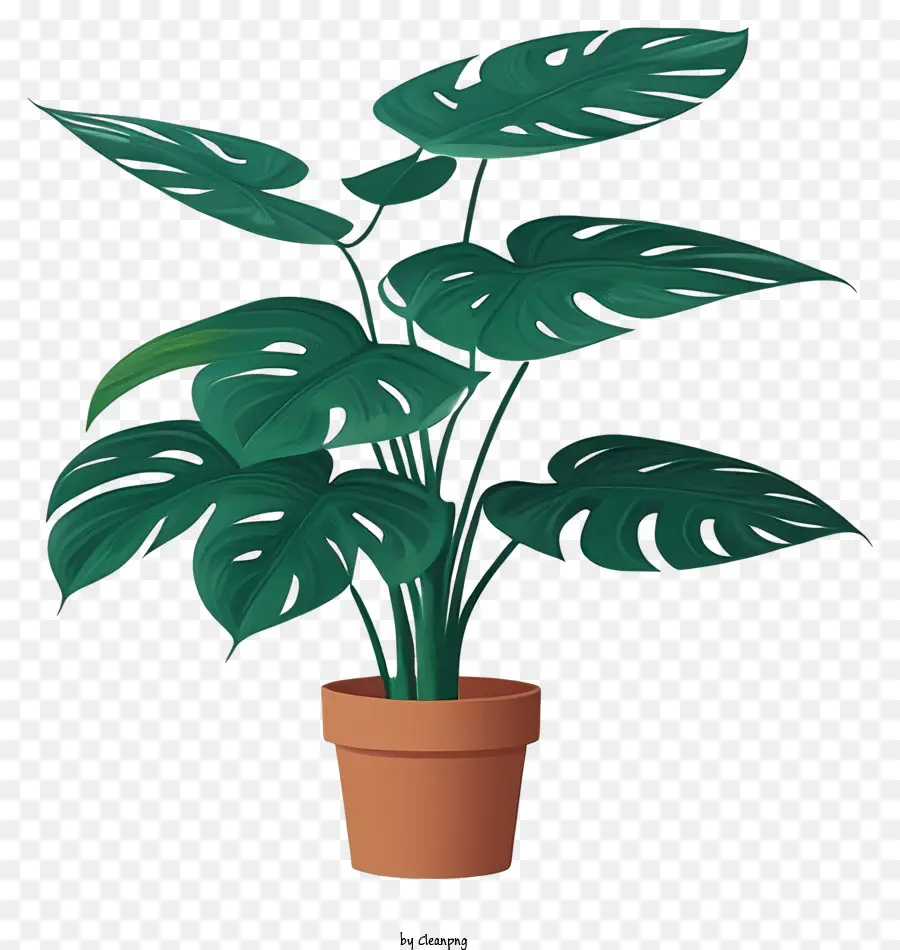 Plante En Pot，Usine PNG