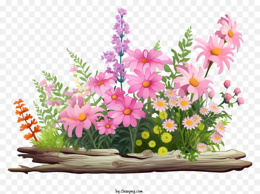 Arrangement Floral，Fleurs PNG