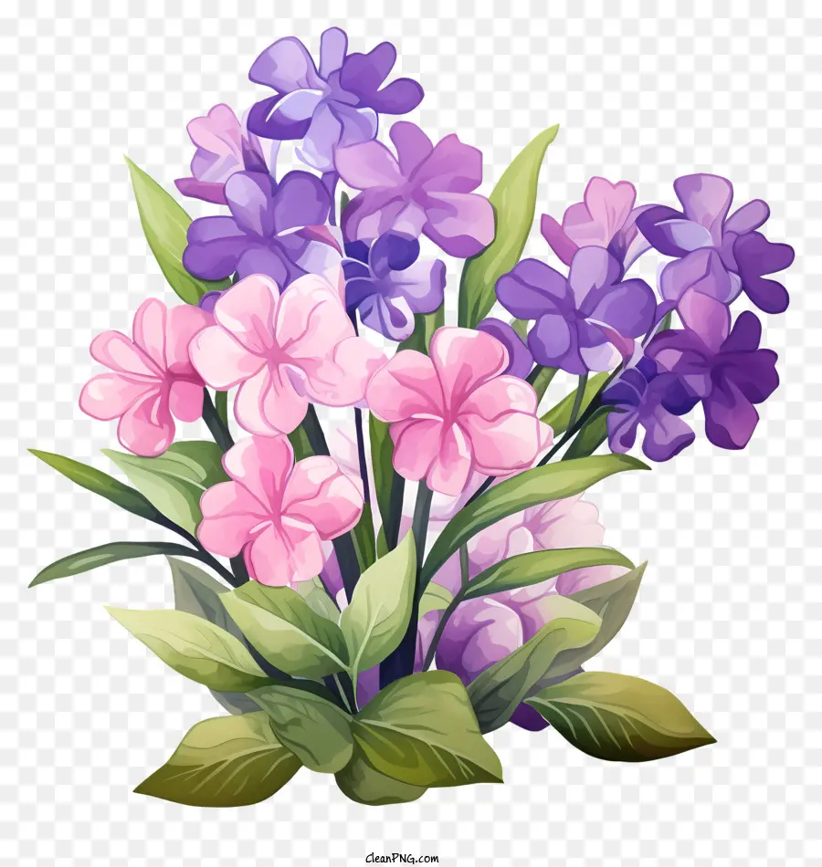De Rose Et De Violet Fleurs，Bouquet PNG