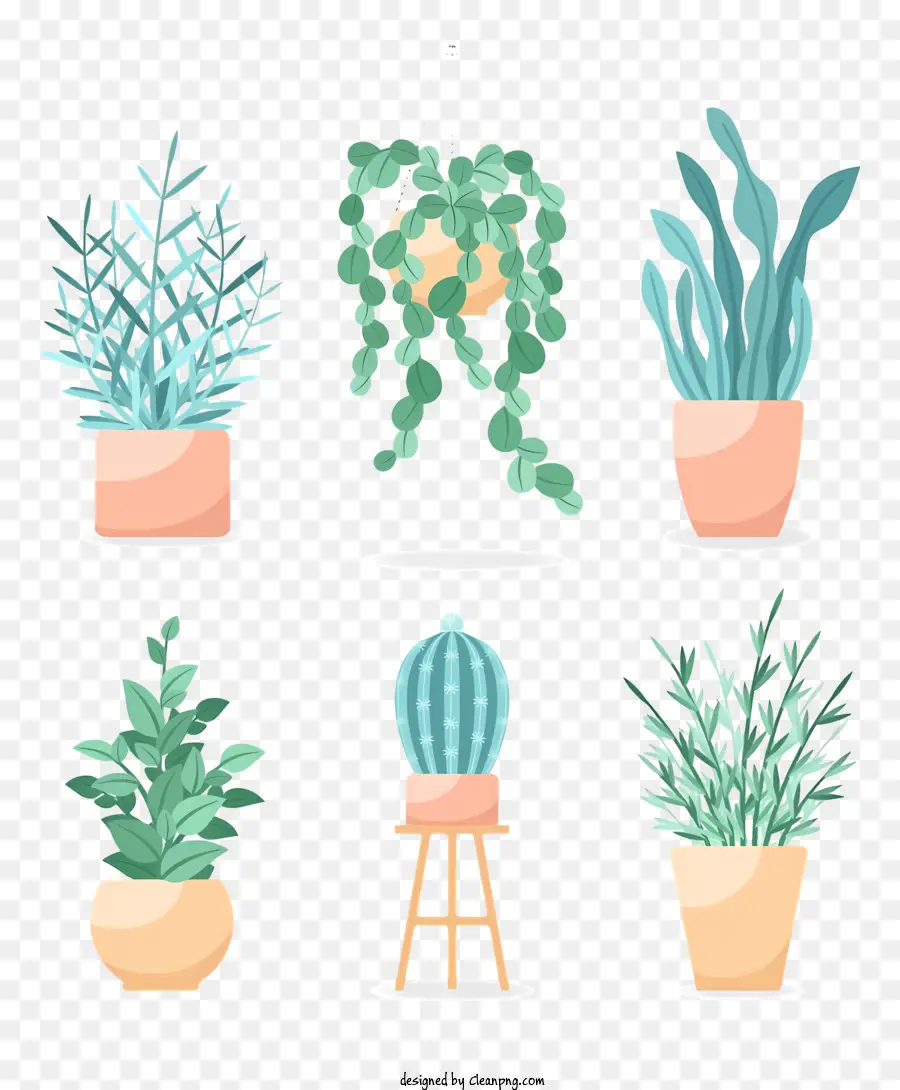 Plantes En Pot，Plantes PNG