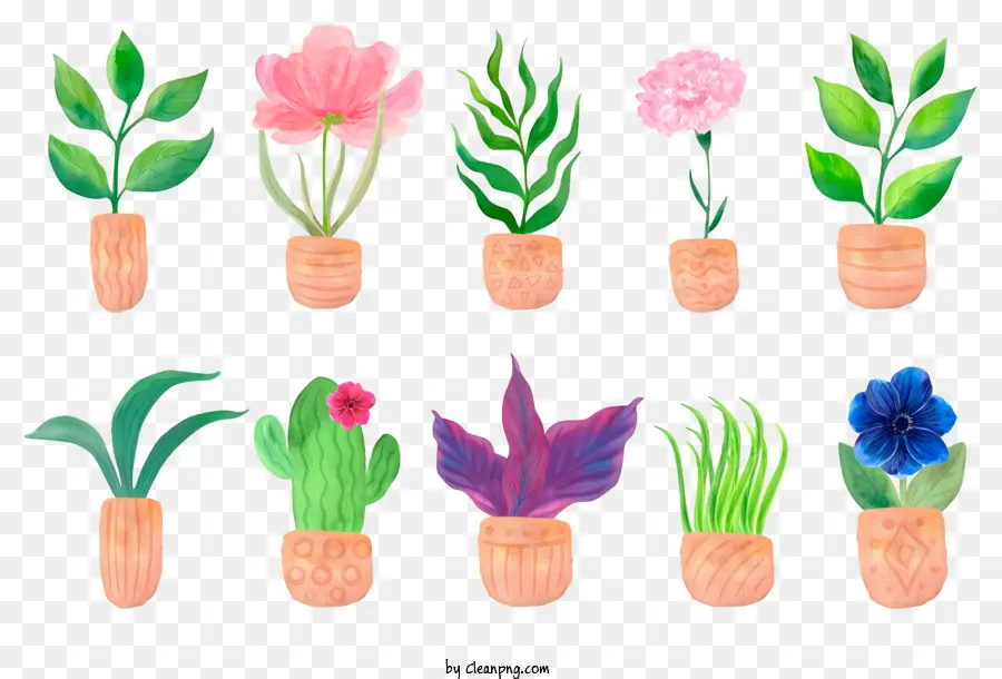 Plantes En Pots En Bois，Plantes En Pot PNG