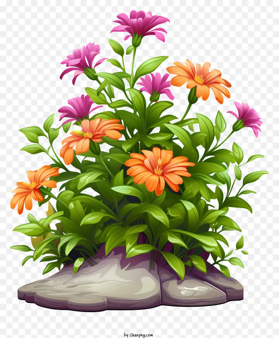 Plante En Pot，Fleurs Colorées PNG