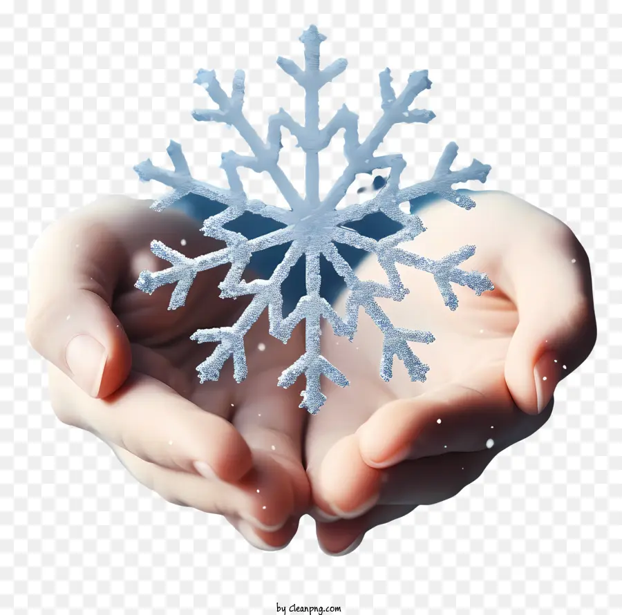 Flocon De Neige，Hiver PNG