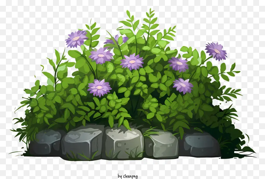 Fleurs Violettes，Buisson De Fleurs PNG