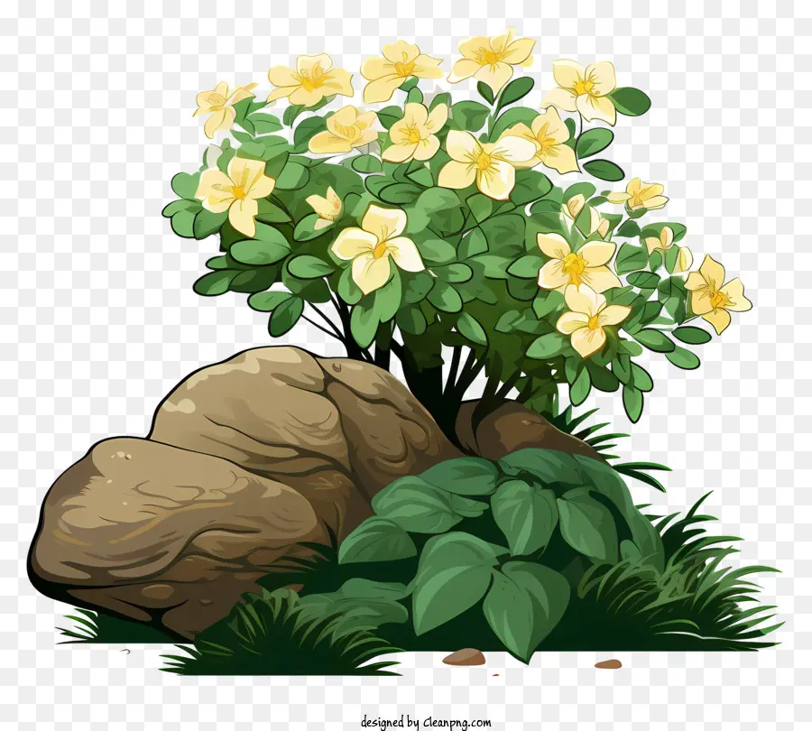 Fleurs Jaunes，Pleine Floraison PNG