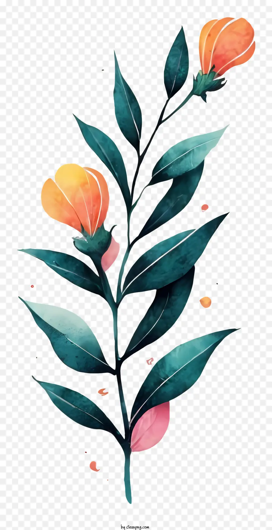 Fleurs，Des Fleurs D'orange PNG