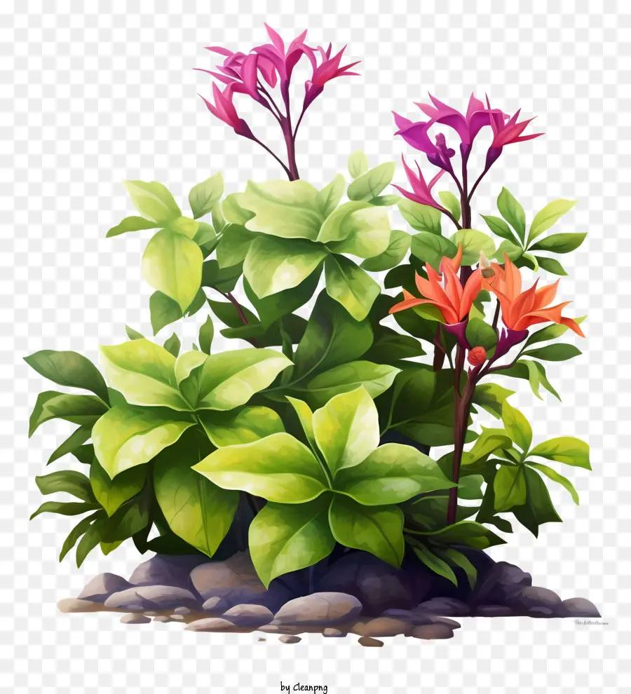 Fleurs，Les Plantes PNG