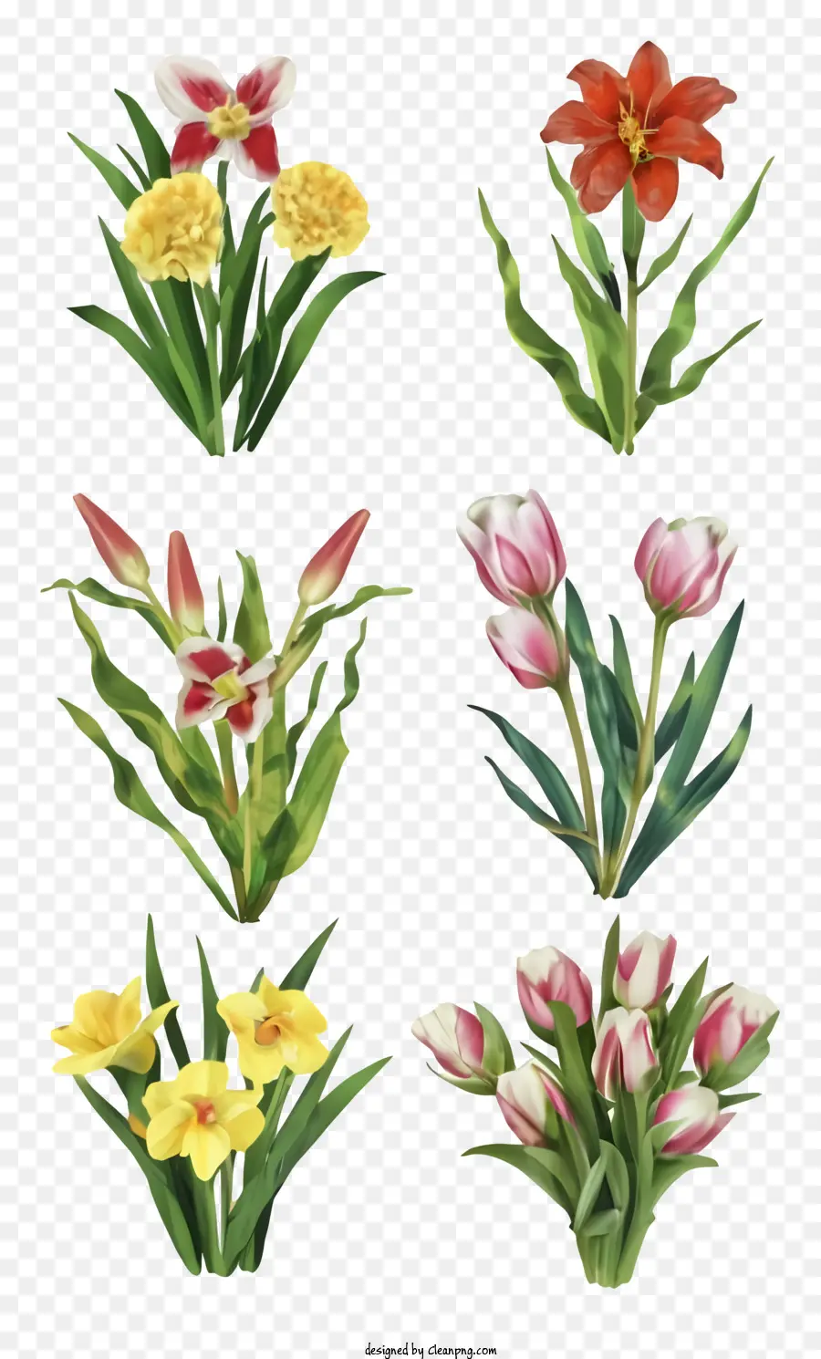 Bouquet De Fleurs，Tulipes Jaunes PNG
