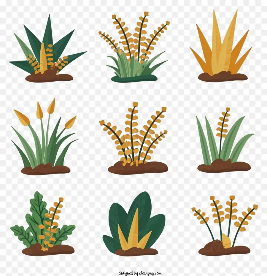 Plantes，Feuilles PNG