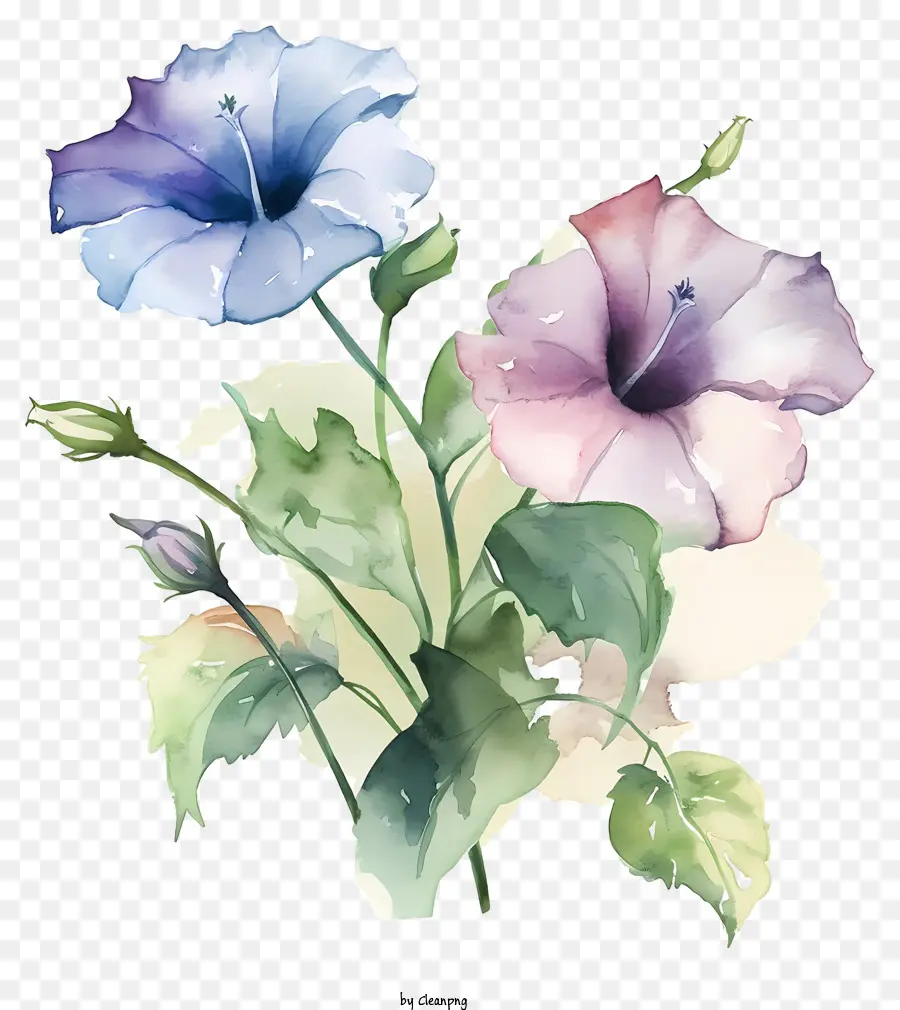 Bouquet，Fleurs Pourpres PNG