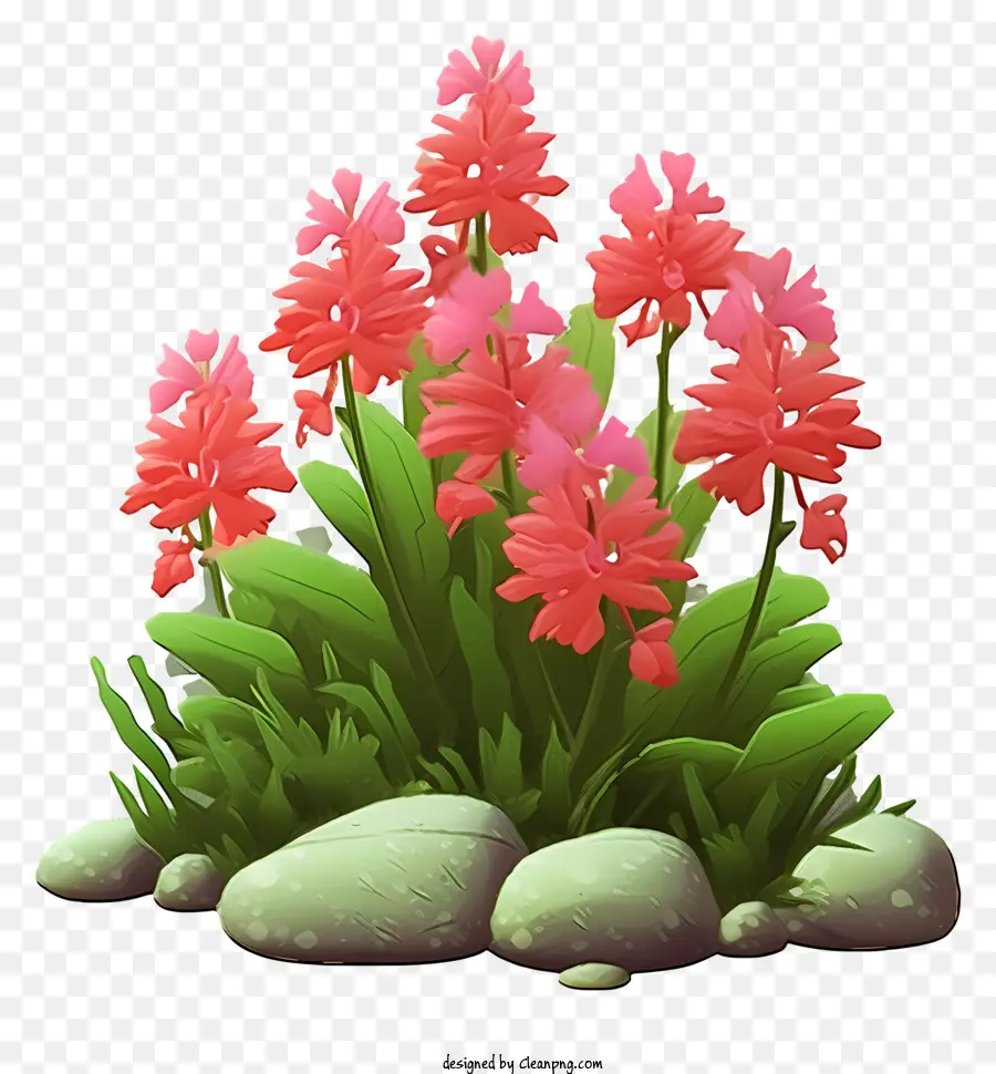 Plantes à Fleurs，Fleurs Rouges PNG