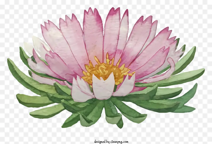 Peinture à L'aquarelle，Fleur Rose PNG