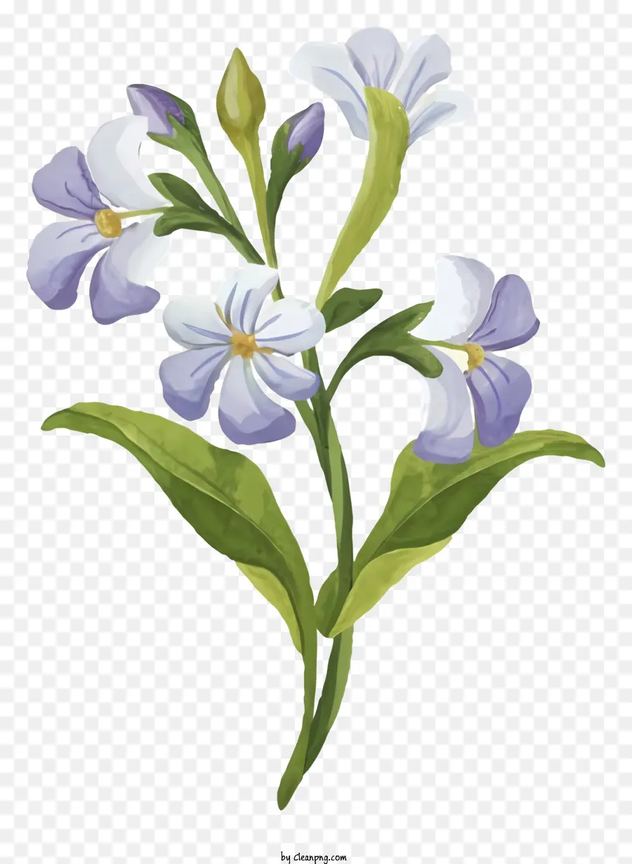 Fleur，Fleurs Blanches Et Violettes PNG