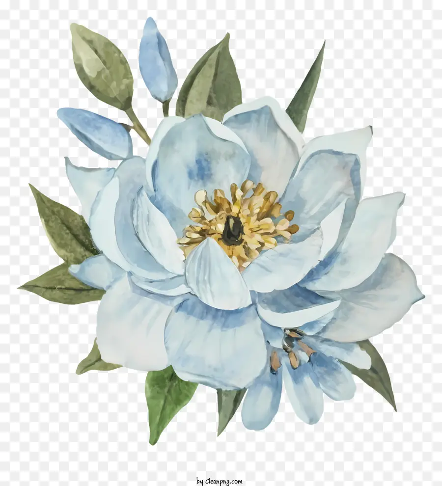 Fleur De Lotus Bleu，Nénuphar PNG