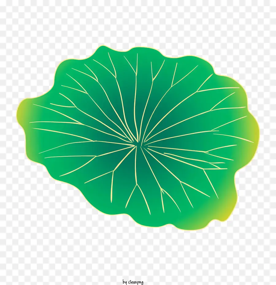 Feuille Verte，Vert PNG