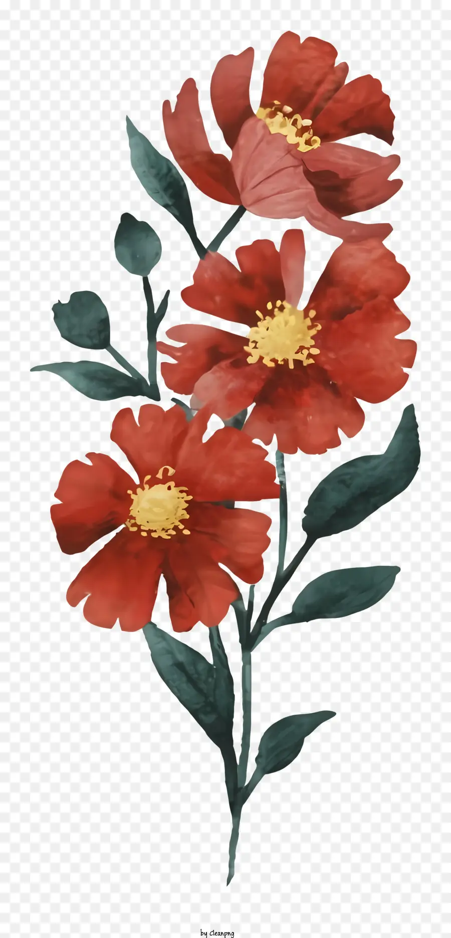 Roses Rouges，Fleurs Rouges PNG