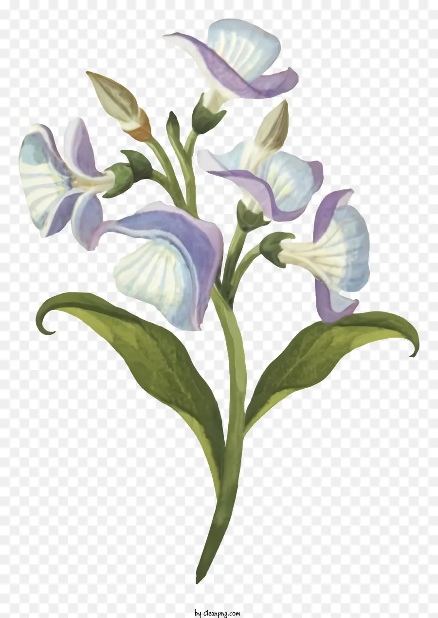 Fleur Bleue，Fleur PNG