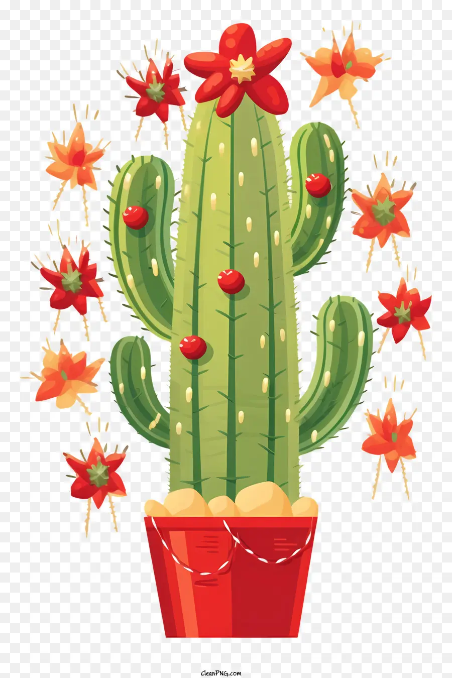 Cactus Avec Des Fleurs Rouges，La Floraison Des Cactus PNG