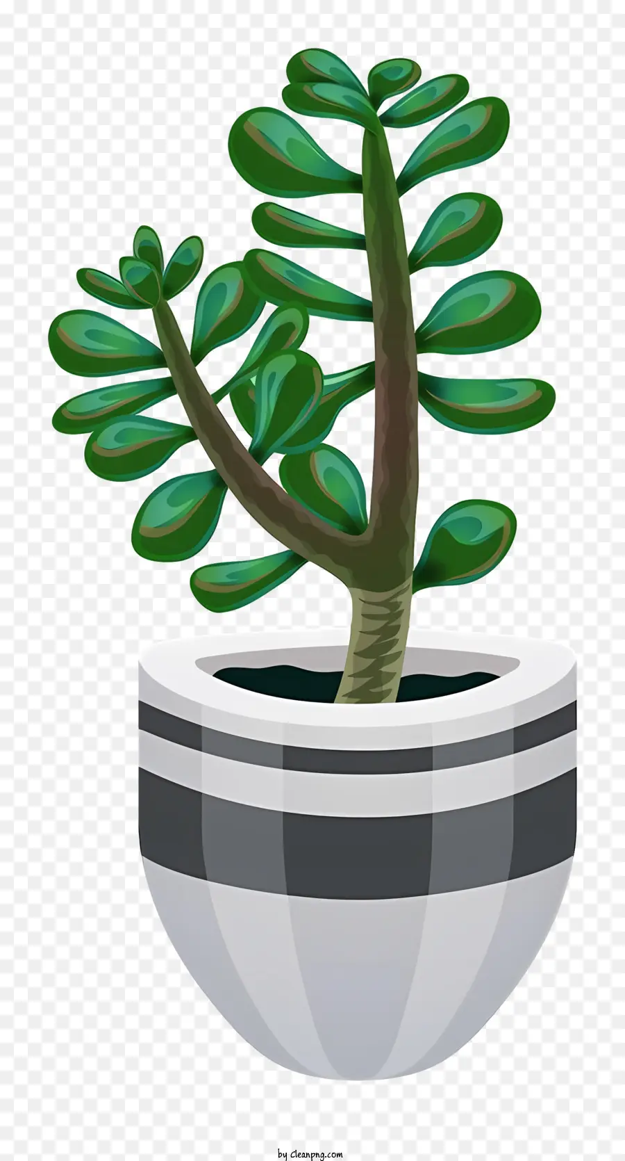 Plante De Cactus，Plante Verte PNG